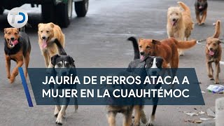 Jauría de perros ataca a mujer en la alcaldía Cuauhtémoc [upl. by Honorine]