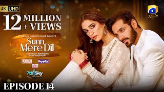 Sunn Mere Dil EP 14 Eng Sub Digitally Presented by LUX  Happilac Paints and Ujooba Beauty Cream [upl. by Wheeler]