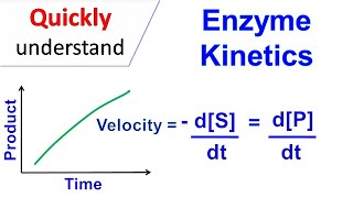 Enzyme kinetics [upl. by Jaeger]