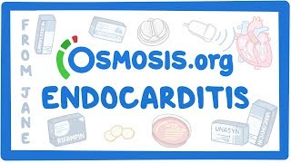 Clinicians Corner Endocarditis [upl. by Aenitsirhc58]