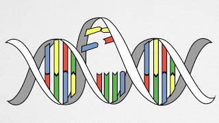 How UV Causes Cancer and Aging [upl. by Munshi]