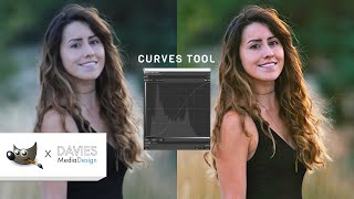 How to Use the Curves Tool in GIMP [upl. by Kavanaugh]