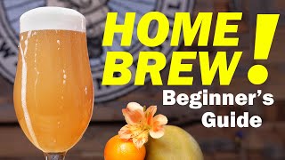 HOMEBREWING FOR BEGINNERS  How to Make Beer at Home 🏠🍺 [upl. by Mansfield237]