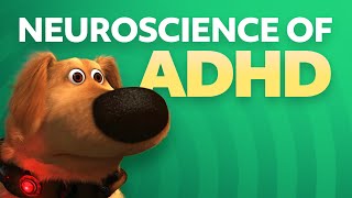 How is ADHD Diagnosed [upl. by Filberte]