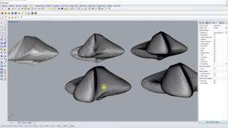 ADVANCED RHINO  NURBS TO MESH  REDUCE MESH  MESH TO POLYSURFACE [upl. by Morgen]