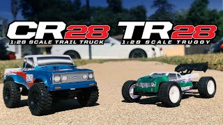 Team Associated TR28 and CR28 [upl. by Verdha]