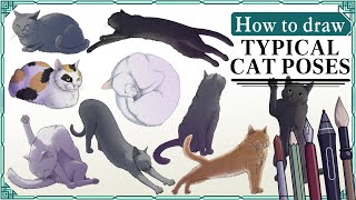 How to draw CATS in ANY POSE  Art Tutorial [upl. by Anoo]