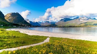 Uplifting Music  light positive happy music Gullrosøya  1 hour [upl. by Hsekar631]