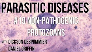 Parasitic Diseases Lectures 19 NonPathogenic Protozoans [upl. by Deonne]