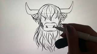 BCreative How To Draw a Highland Cow 🐮 [upl. by Thalassa556]