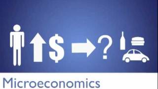 Micro Vs Macro Economics [upl. by Bishop910]