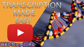 Transcription Made Easy From DNA to RNA 2019 [upl. by Sophronia]