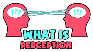 What is Perception  Explained in 2 min [upl. by Atiuqad]