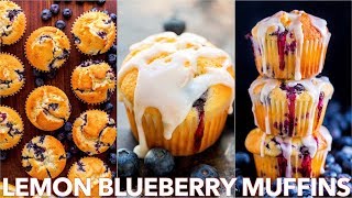 Easy Lemon Blueberry Muffins Recipe [upl. by Asina]