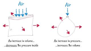 Inhaling and Exhaling  How breathing works [upl. by Khano]