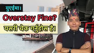 How to check Overstay fine In UAE Check By Passport Info [upl. by Onilecram586]