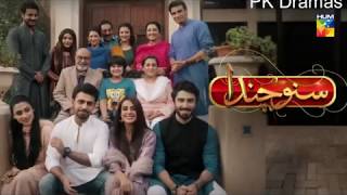 Suno Chanda Episode 30 HUM TV Drama 16 June 2018 [upl. by Ahselaf]