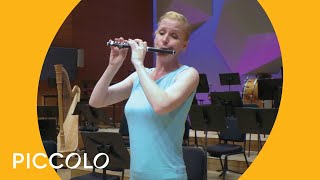 Guide to the Orchestra Piccolo Demonstration  Minnesota Orchestra [upl. by Almallah334]