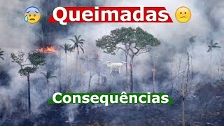 Queimadas e suas consequências para o meio ambiente [upl. by Ehgit]