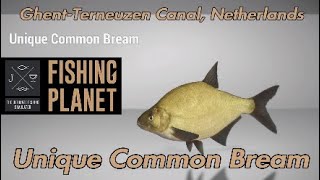 Unique Common Bream  GhentTerneuzen Canal Netherlands  Fishing Planet Guide [upl. by Nahc]