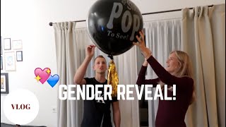 GENDER REVEAL KRIJGT LOLA EEN BROERTJE OF ZUSJE ★ VLOG 13 [upl. by Sirk]