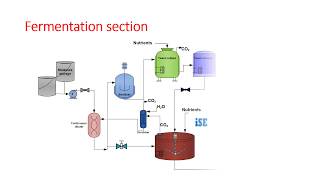 Ethyl alcohol manufacturing by molasses fermentation [upl. by Ronoel]