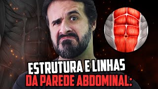 ESTRUTURA E LINHAS DA PAREDE ABDOMINAL [upl. by Agata184]