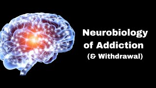 Neurobiology of Addiction  Quickstart Guide [upl. by Baker]