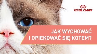 Jak wychować i opiekować się kotem  ROYAL CANIN  Porady dla właściciela kota [upl. by Bernelle]