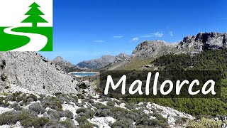 Die schönsten Wanderungen auf Mallorca [upl. by Eidnas]