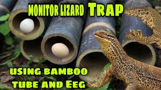 BayawakMonitor lizard trap using bamboo and egg [upl. by Caputto660]