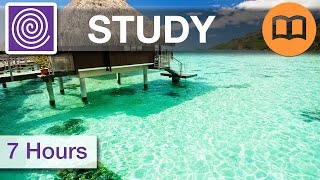 ♫ 7 HOURS ☯ Homework Music  Study Playlist  For Brain Concentration  Study Better [upl. by Yengac]