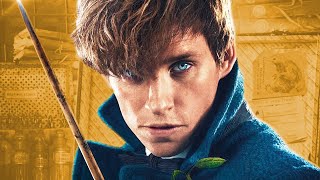 The History Of Newt Scamander  Fantastic Beasts [upl. by Airotna48]