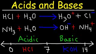 Acids and Bases  Basic Introduction  Chemistry [upl. by Ilahtan697]