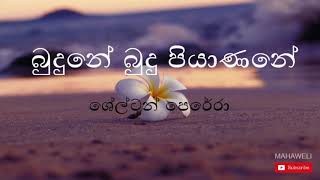 බුදුනේ බුදු පියාණනේ  Shelton Perera  Budune Budu Piyanane  Budu Guna Gee  Sinhala Buddhist Songs [upl. by Ahsenev]