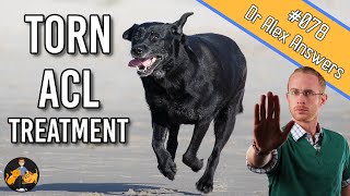 The Best Torn Dog ACL Treatment  Surgery or Home Management  Dog Care Vet Advice [upl. by Ylerebmik9]