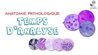 Anatomie Pathologique  Temps dAnalyse [upl. by Handbook]