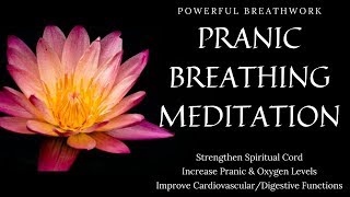 POWERFUL PRANIC BREATHING  Technique amp Meditation [upl. by Gaylene]