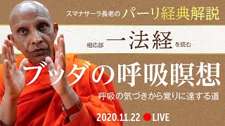 ブッダの呼吸瞑想――呼吸の気づきから覚りに達する道（相応部「一法経」を読む）｜スマナサーラ長老のパーリ経典解説（22 Nov 2020 ゴータミー精舎） [upl. by Robinett856]