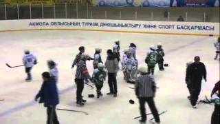 Best kids under 10 mass hockey fight [upl. by Epillihp257]