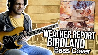 Weather Report  Birdland Bass cover  Better call John [upl. by Herv]