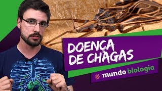 🦠 Microbiologia 45 Doença de Chagas  Biologia  ENEM [upl. by Elleon156]