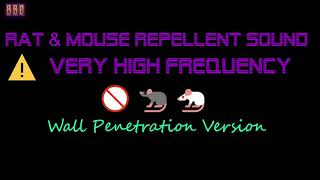 ⚠️Wall Penetration Version 🚫🐀🐁 Rat amp Mouse Repellent Sound Very High Frequency 1 Hour [upl. by Willi944]