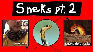 Internet Names for Snakes  Part 2 [upl. by Sirred]