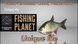 Unique Ide  GhentTerneuzen Canal Netherlands  Fishing Planet Guide [upl. by Eelrac376]