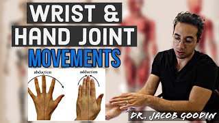 Wrist amp Hand Anatomy Joint Movements [upl. by Halyk]