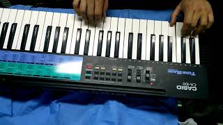 CASIO CA100 sound and styles demonstration [upl. by Ydnak]