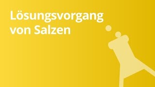 Der Lösungsvorgang von Salzen leicht erklärt  Chemie [upl. by Mosera]