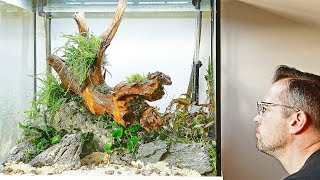 How to Aquascape a Nature Aquarium with Pete Part 2 of 3 [upl. by Ah]