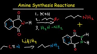 Amine Synthesis Reactions Organic Chemistry  Summary amp Practice Problems [upl. by Ivets515]